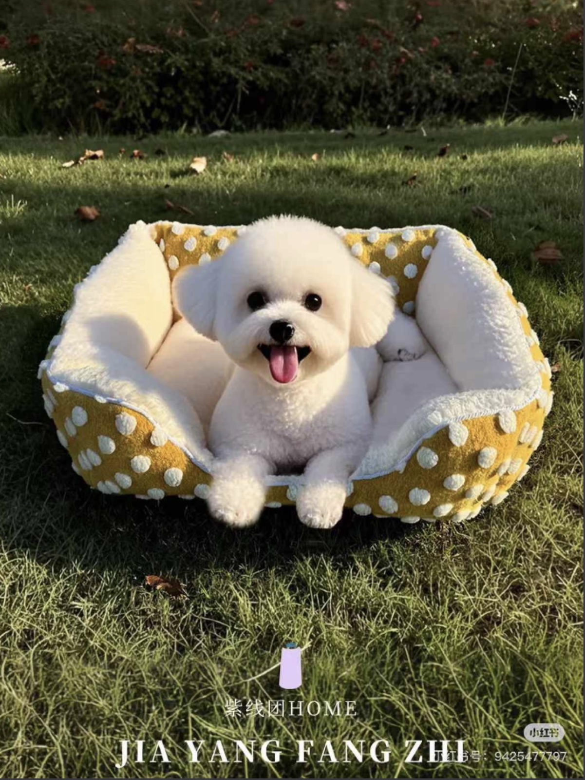 草地上黄色圆点围合式宠物窝中的白色犬只